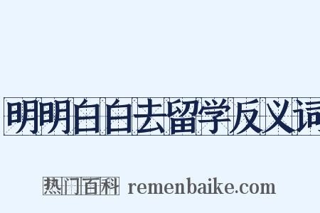 明明白白去留学反义词是什么意思的图片